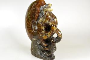 Ammonite Carving 17.5cm | Image 3