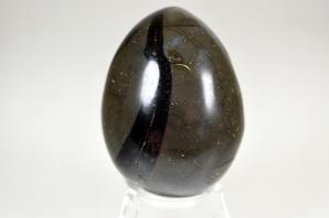 Black Septarian Egg 6.2cm | Image 4