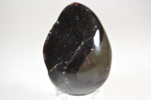 Black Septarian Egg 6.2cm | Image 5