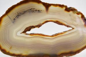 Agate Slice 16.5cm | Image 2