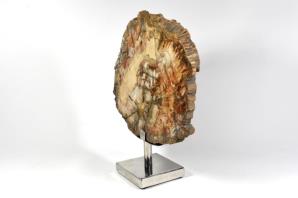 Mounted Fossilised Wood Slice 25.5cm | Image 4