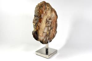 Mounted Fossilised Wood Slice 25.5cm | Image 5