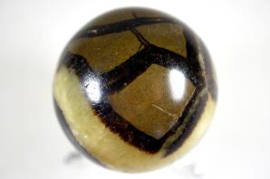 Yellow Septarian Sphere 5.5cm | Image 4
