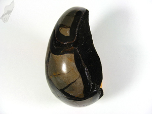 Black Septarian Egg 11.5cm | Image 3