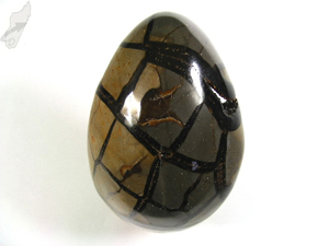Black Septarian Egg 11.5cm | Image 4
