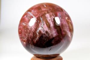 Fossil Wood Sphere 9.5cm | Image 3