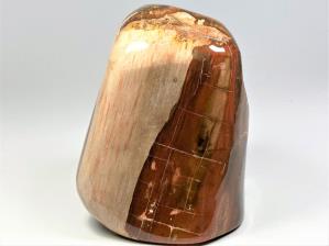 Fossilised Wood Freeshape Large 11.8cm | Image 4