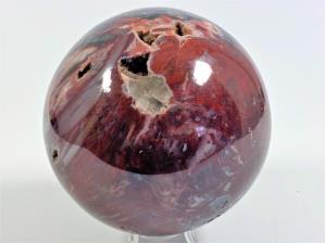 Fossil Wood Sphere 10.5cm | Image 2