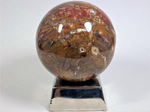 Fossil Wood Sphere 13.1cm | Image 2