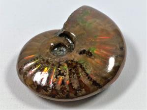 Ammonite Red Iridescent 5.9cm | Image 3