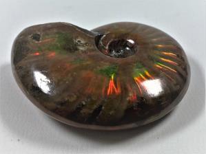 Ammonite Red Iridescent 5.9cm | Image 5