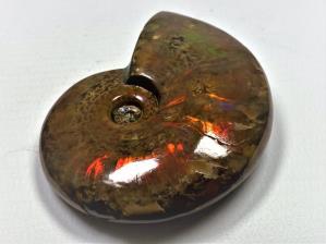 Ammonite Red Iridescent 6.3cm | Image 2
