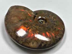 Ammonite Red Iridescent 6.3cm | Image 3