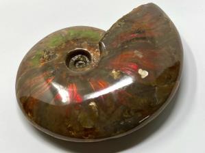 Ammonite Red Iridescent 10.7cm | Image 3