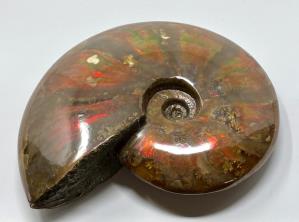 Ammonite Red Iridescent 10.7cm | Image 5