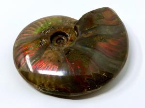 Ammonite Red Iridescent 10.7cm | Image 7