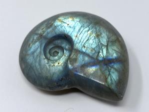 Labradorite Ammonite Carving 4.4cm | Image 3