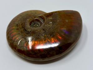 Ammonite Red Iridescent 5.4cm | Image 2