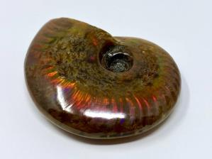 Ammonite Red Iridescent 5.4cm | Image 3