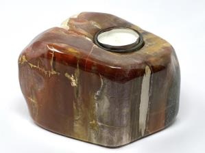 Fossilised Wood Tea Light 17cm | Image 3