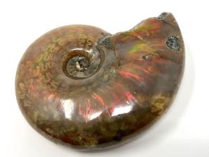 Ammonite Red Iridescent 5.7cm | Image 3