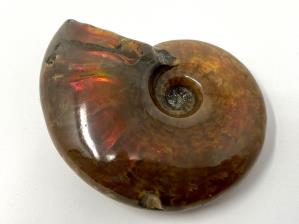 Ammonite Red Iridescent 5.7cm | Image 2