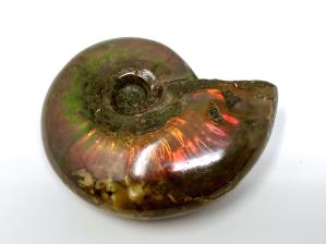 Ammonite Red Iridescent 5.2cm | Image 3