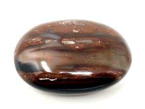 Fossil Wood Pebble 6.6cm | Image 2