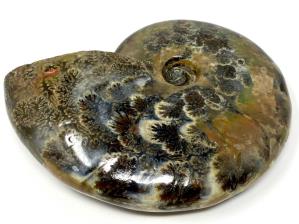 Ammonite Red Iridescent 11.5cm | Image 7