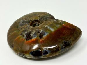 Ammonite Red Iridescent 11.5cm | Image 4