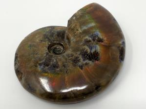 Ammonite Red Iridescent 11.5cm | Image 3
