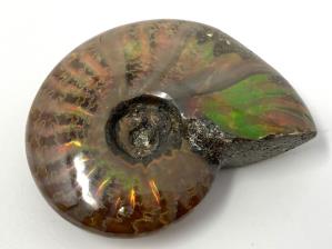 Ammonite Red Iridescent 4.7cm | Image 3
