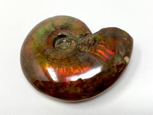 Ammonite Red Iridescent 4.9cm | Image 4