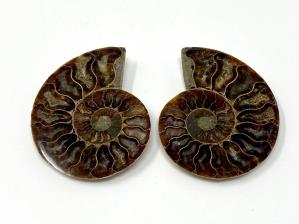 Ammonite Pair 7.4cm | Image 2