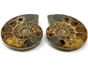 Ammonite Pair 10.9cm | Image 3
