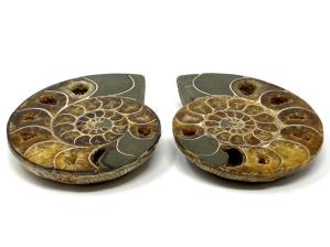 Ammonite Pair 10.9cm | Image 2