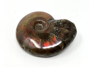 Ammonite Red Iridescent 4.2cm | Image 3