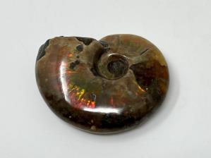 Ammonite Red Iridescent 4.2cm | Image 2