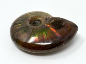 Ammonite Red Iridescent 4.2cm | Image 3