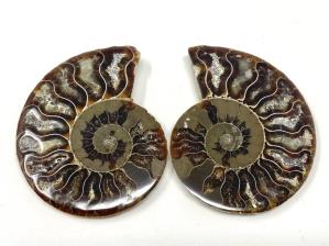 Ammonite Pair 7cm | Image 2
