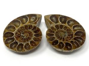 Ammonite Pair 5.7cm | Image 2