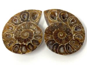 Druzy Ammonite Pair 5.5cm | Image 2