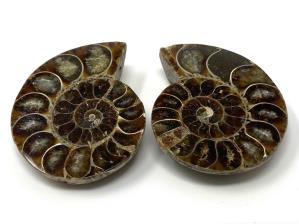 Ammonite Pair 5.3cm | Image 2
