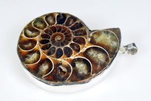 Large Ammonite Pendant 42grams | Image 2