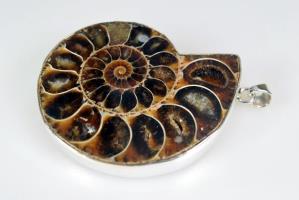 Large Ammonite Pendant 44grams | Image 2