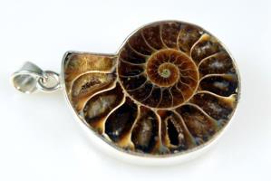 Ammonite Pendant 10grams | Image 2