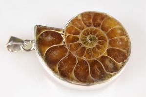 Ammonite Pendant 12.4grams | Image 2