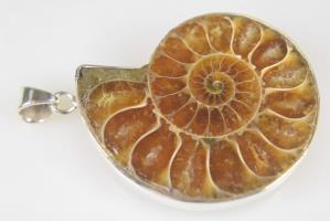Ammonite Pendant 15.1grams | Image 2