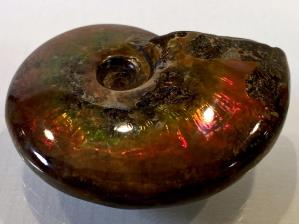 Ammonite Red Iridescent 5.8cm | Image 3