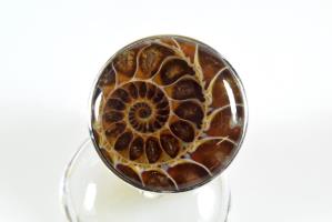 Ammonite Ring UK Q | Image 2